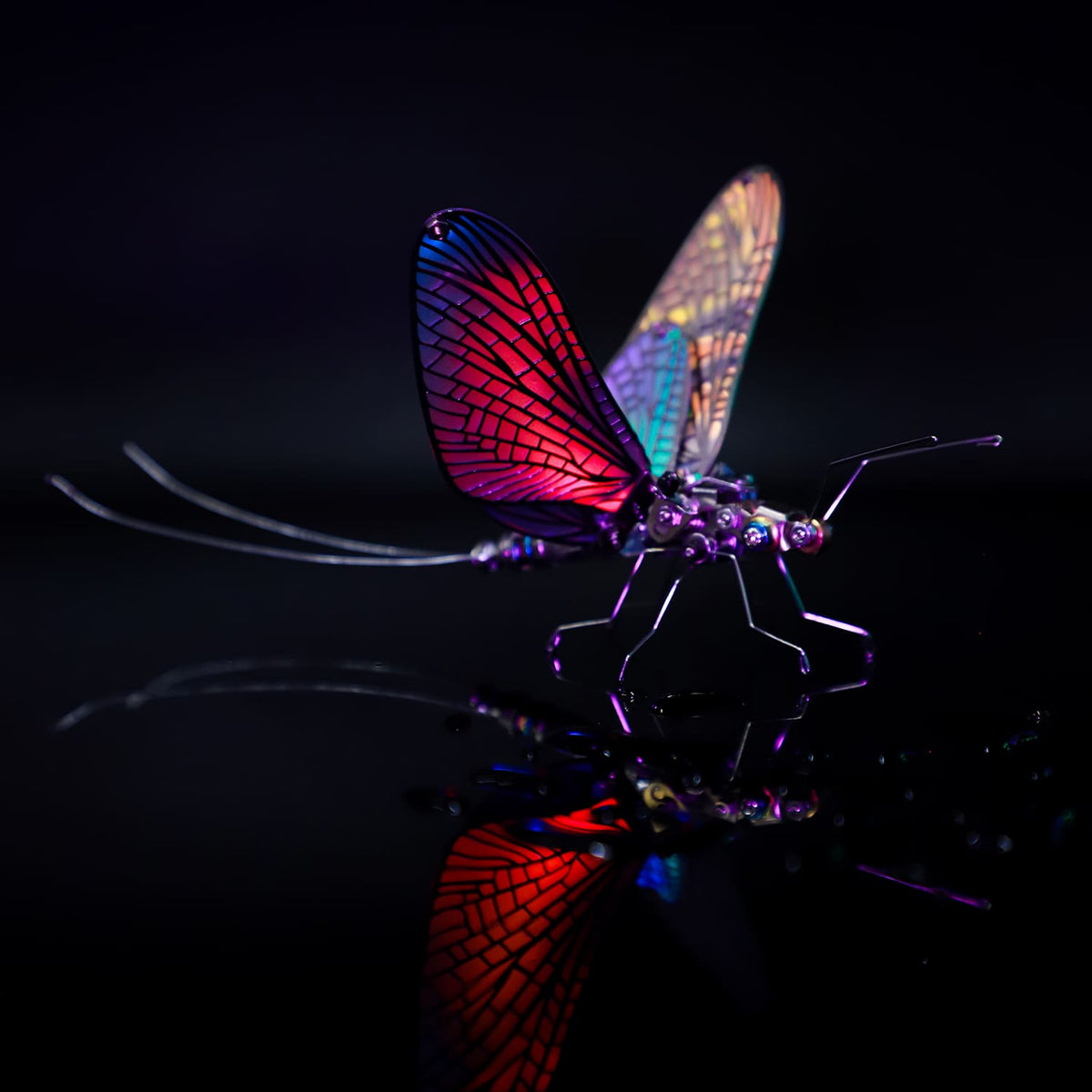 Mayfly