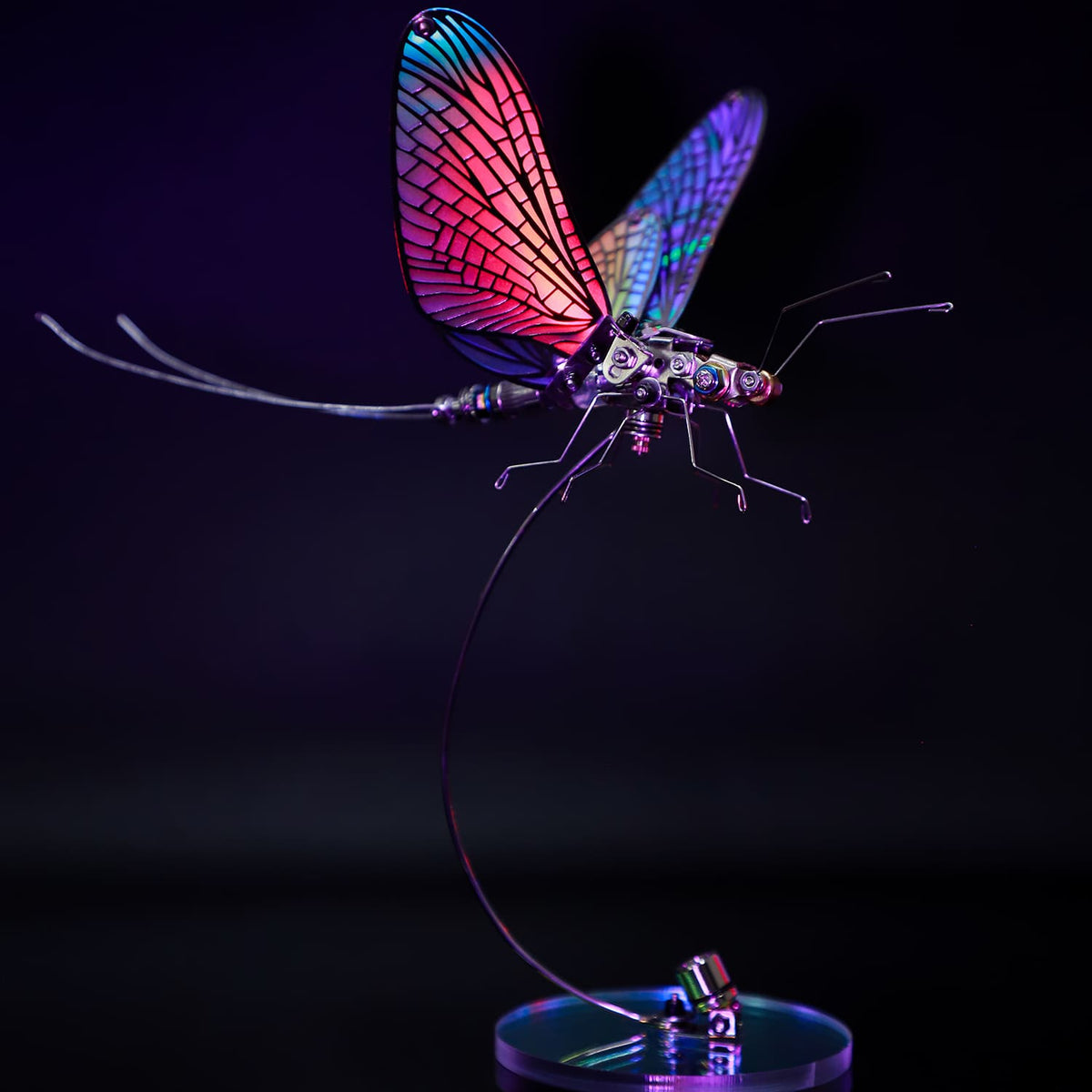 Mayfly