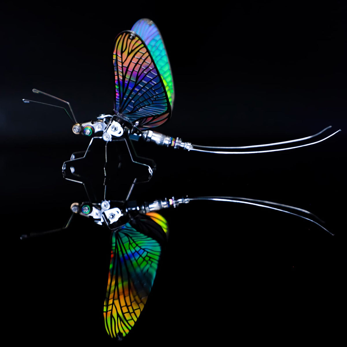 Mayfly
