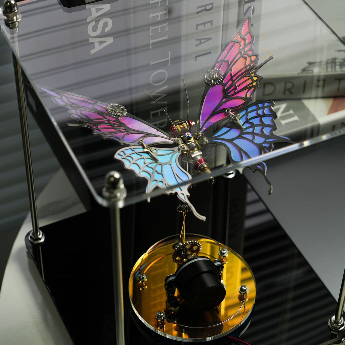 Aurora Butterfly