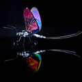 Mayfly