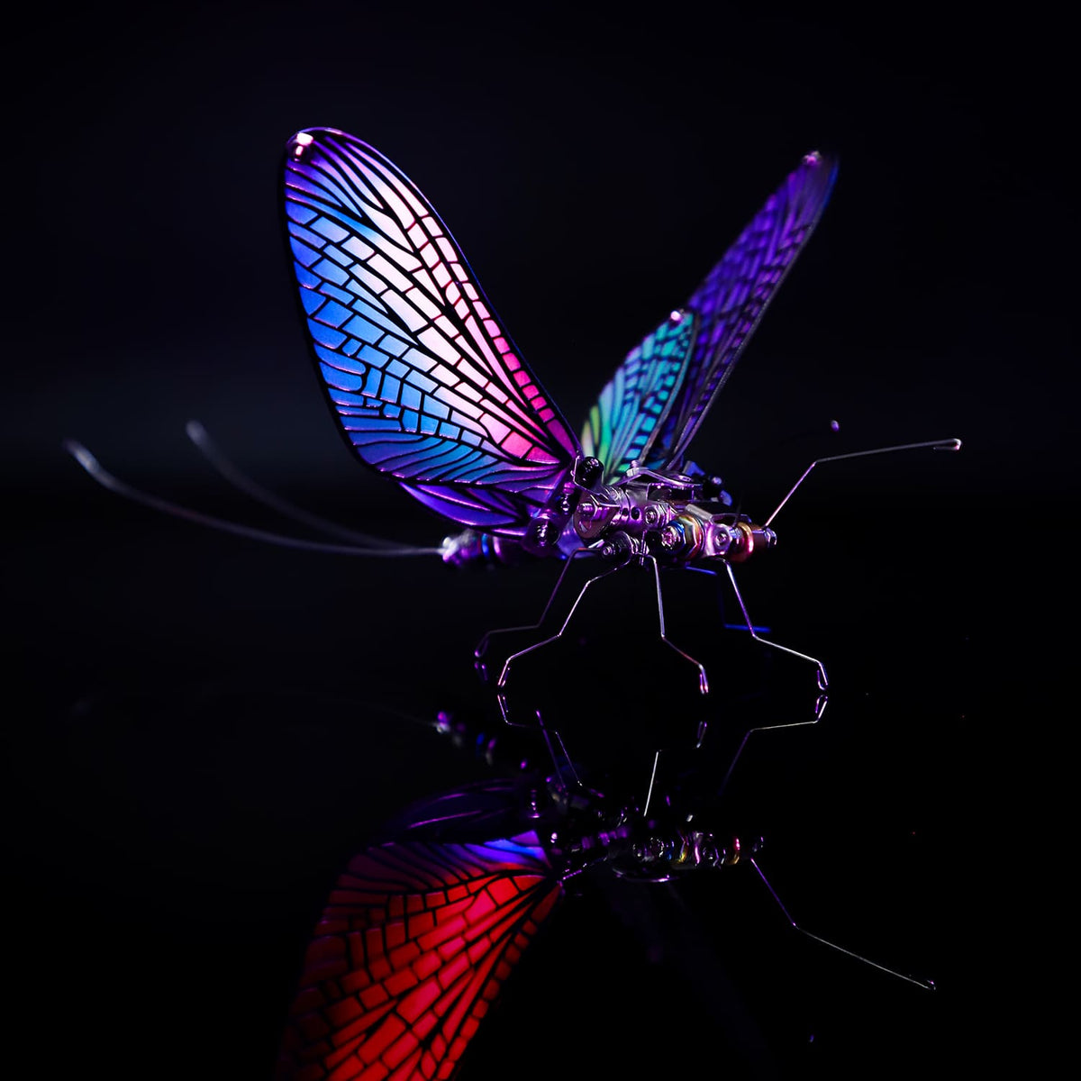 Mayfly