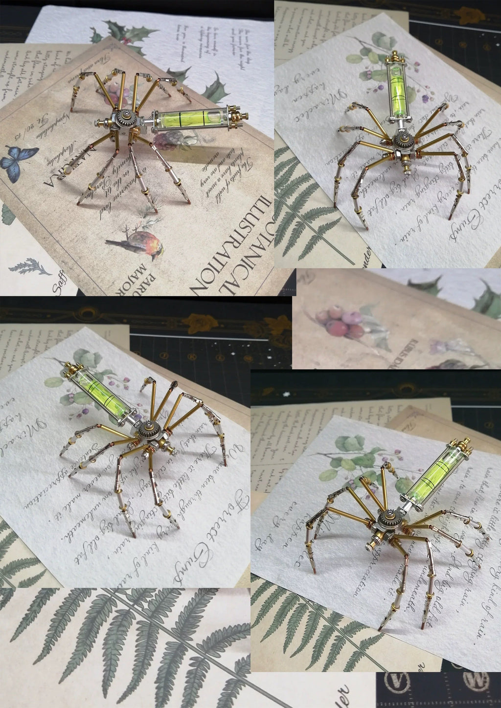 Cellar Spider