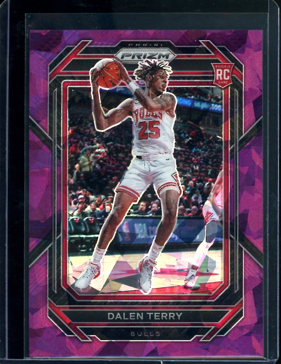 2022/23 Panini Prizm Dalen Terry Rookie Purple Ice /149 Bulls